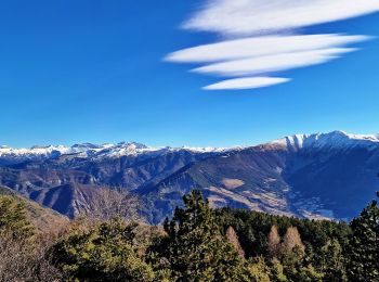 Excursión Senderismo Turriers - Grande-gautiere-et-pointe-d-eyrolle - Photo