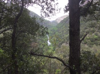 Tour Wandern Rogues - 34 le roc du saut du loup 2/05/22 - Photo