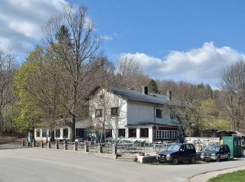 Tour Zu Fuß Gemeinde Muggendorf - Pottenstein - Hohenwart/Steinwandklamm (blau) - Photo