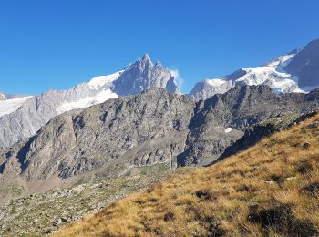 Randonnée Marche La Grave - La Grave - La Meije - Ref Chancel et Belvédère  - Photo