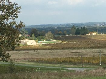 Trail Walking Soussac - Soussac butte de launay - Photo