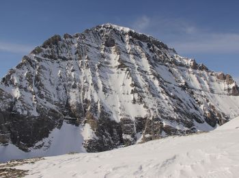 Tour Zu Fuß Kandersteg - Gfelalp - Lötschenpass - Photo