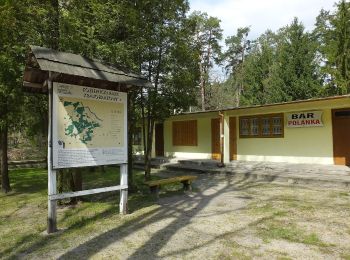 Percorso A piedi Garbatka-Letnisko - Krępiec - Photo