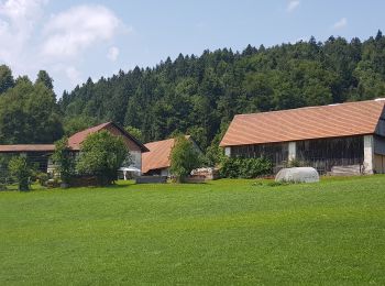 Tocht Stappen Logatec - Rovte Sveti trije Kralje - Photo