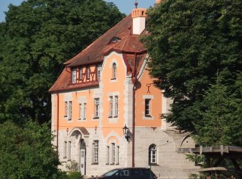 Tour Zu Fuß Uehlfeld - Karpfen-Rundweg Uehlfeld - Photo