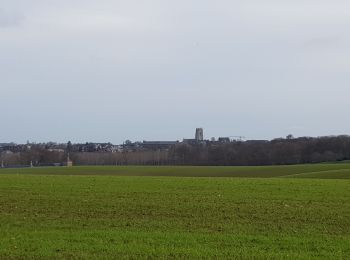 Randonnée Marche Tongres - Tongres  - Photo