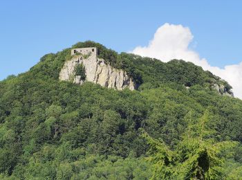 Tocht Te voet Heubach - Glaubensweg 10 - Photo