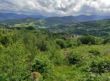 Randonnée Marche Hohrod - Hohrodberg  - Photo