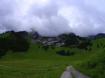 Randonnée V.T.T. Le Grand-Bornand - VTT du Grand Bornand au refuge de la Bombardelle - Photo