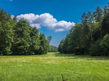 Tocht Te voet Priesendorf - Rundweg Priesendorf P 1 