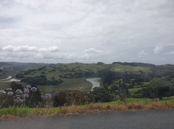 Tour Zu Fuß Rodney - Te Araroa - 02 Auckland - d Puhoi Valley to Puhoi - Photo