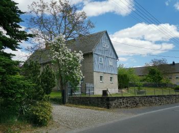 Randonnée A pied Ottendorf-Okrilla - Grüner Strich 