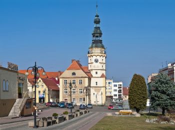 Tour Zu Fuß Ottmachau - Szlak miejski Otmuchów - Photo