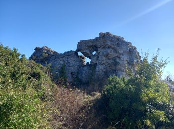 Excursión Senderismo Roqueredonde - Roqueredonde et l'Escandorgue - Photo