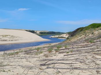 Tocht Mountainbike Messanges - vieux boucau vers courant de Huchet - Photo