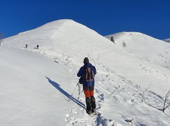 Tour Wandern Poubeau - cap de la Lit en boucle - Photo