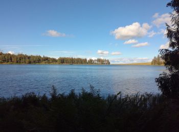 Percorso Marcia Orcival - lac de serviere  - Photo