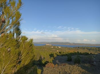 Tour Wandern Bages - De Bages à Les Pesquis - Photo