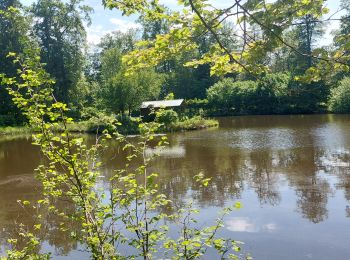 Tocht Stappen Ramonchamp - Ramonchamp les noirs etangs - Photo