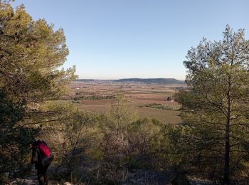 Randonnée Marche Calvisson - Sinsans - Photo