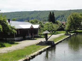 Excursión A pie Kelheim - Rundweg Essing 25 - Photo