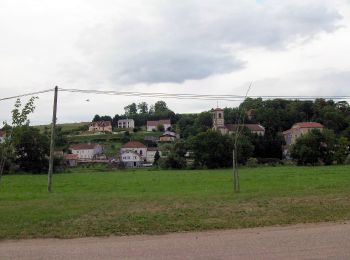 Randonnée A pied Ambacourt - Sentier du Madon - Photo