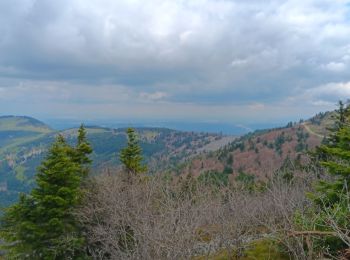 Tocht Stappen Véranne - sentier des crets du Mont Pilat  - Photo