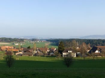 Randonnée A pied Meikirch - CH-Meikirch - Uettligen/Linde - Photo