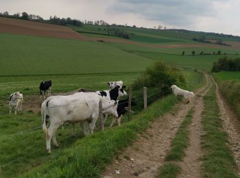 Randonnée Marche Saint-Jacques-d'Aliermont - St Jacques d'aliermont-ste agathe - Photo