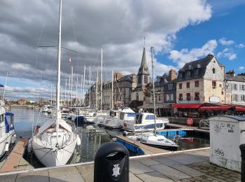 Trail Walking Honfleur - Honfleur (PVDB) - Photo