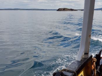 Tocht Motorboot West Cork - 190702Fastnet - Photo