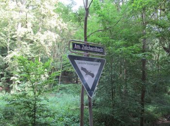 Trail On foot Eschwege - Premiumweg P3– Blaue Kuppe - Leuchtberge - Photo