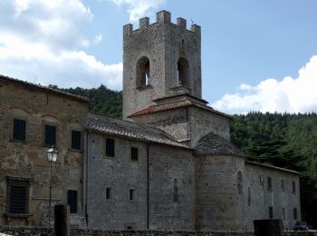 Tour Zu Fuß Gaiole in Chianti - IT-33 - Photo