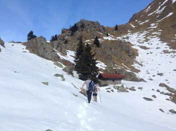 Excursión A pie Pinzolo - Sentiero di Serodoli e Nambrone - Photo