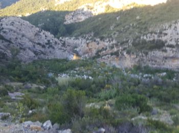 Excursión Paseo en burro Tuchan - cathare 3 Tuchan Duilhac sous peyrepertuse  - Photo