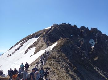 Percorso Marcia Mont-Dore - Les Crêtes Ouest du Puy de Sancy 10.5.24 - Photo