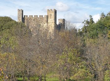 Excursión Senderismo Castelnau-Valence - château de castelneau - Photo