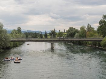 Tocht Te voet Sins - Oberrüti - Sins - Photo