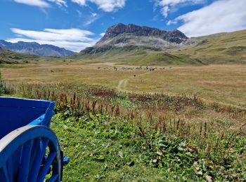 Excursión Senderismo Val-Cenis - Refuge du petit Mont-Cenis - Col de Bellecombe - Photo