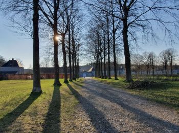 Randonnée Marche Modave - CHÂTEAU DE MODAVE - Photo