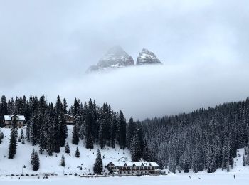 Randonnée A pied Auronzo di Cadore - IT-120A - Photo