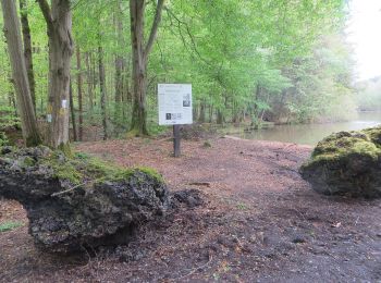 Tocht Te voet Michelstadt - Rundwanderweg Michelstadt Einhard Quelle 2: Kühberg-Weg - Photo