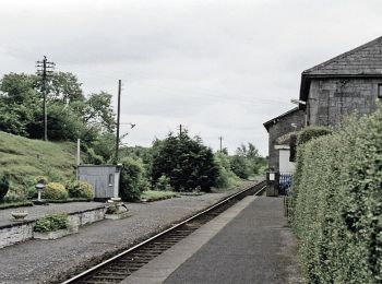 Trail On foot Sligo Municipal Borough District - Oakwood Trail - Photo