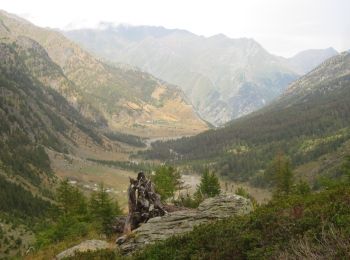 Percorso Marcia Crissolo - Mont Viso: Giacometti-Jervis - Photo