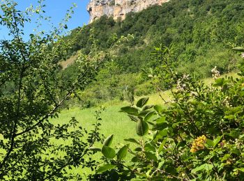 Excursión Senderismo Loubressac - Loubressac - Photo