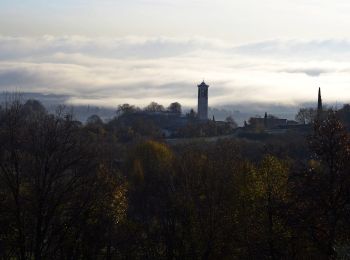 Tocht Te voet Puegnago del Garda - Raccordo 801 con LL - Photo