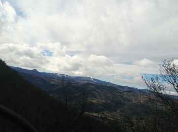 Excursión Bici eléctrica Accons - variante par st Barthélémy - Photo