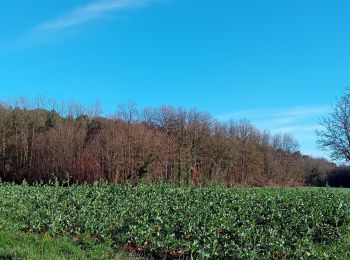 Randonnée Marche Les Ulmes - les ulmes fh 24022024 - Photo