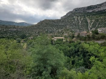 Excursión Senderismo Blandas - cirque de navacelles - Photo