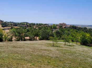 Randonnée Marche Auvillar - auvillar mirandoux - Photo